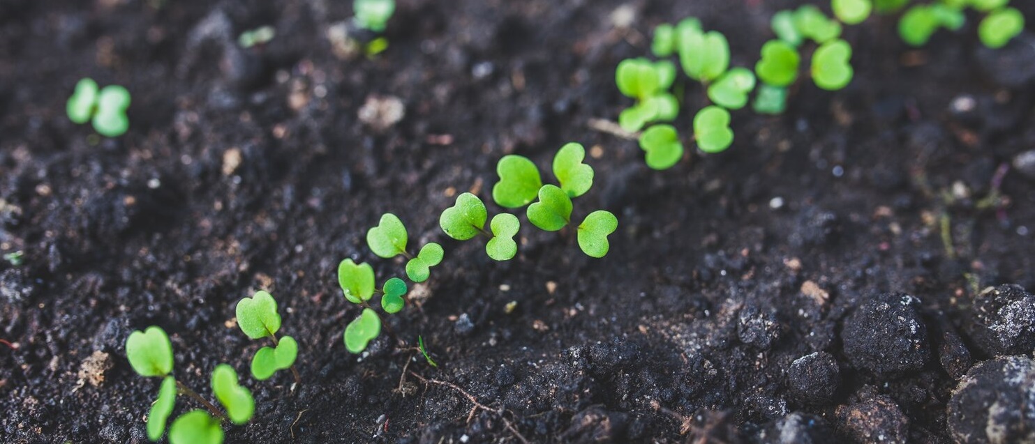 ORGANIC MANURES